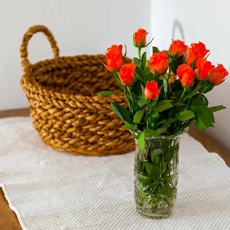 Apartment Central Split * Split